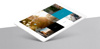 Brillen-Profi-Contact GmbH 